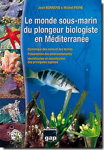 le-monde-sous-marin-du-plongeur-biologiste-en-mediterranee