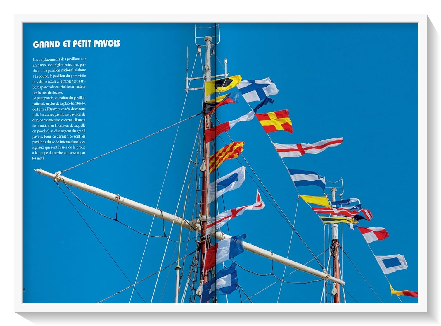 CULTURE VOILE – Image 6